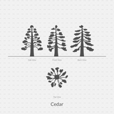 CAD Dynamic Blocks and Vector Common Trees Silhouettes download dwg ai svg elevation top view side front back cedar