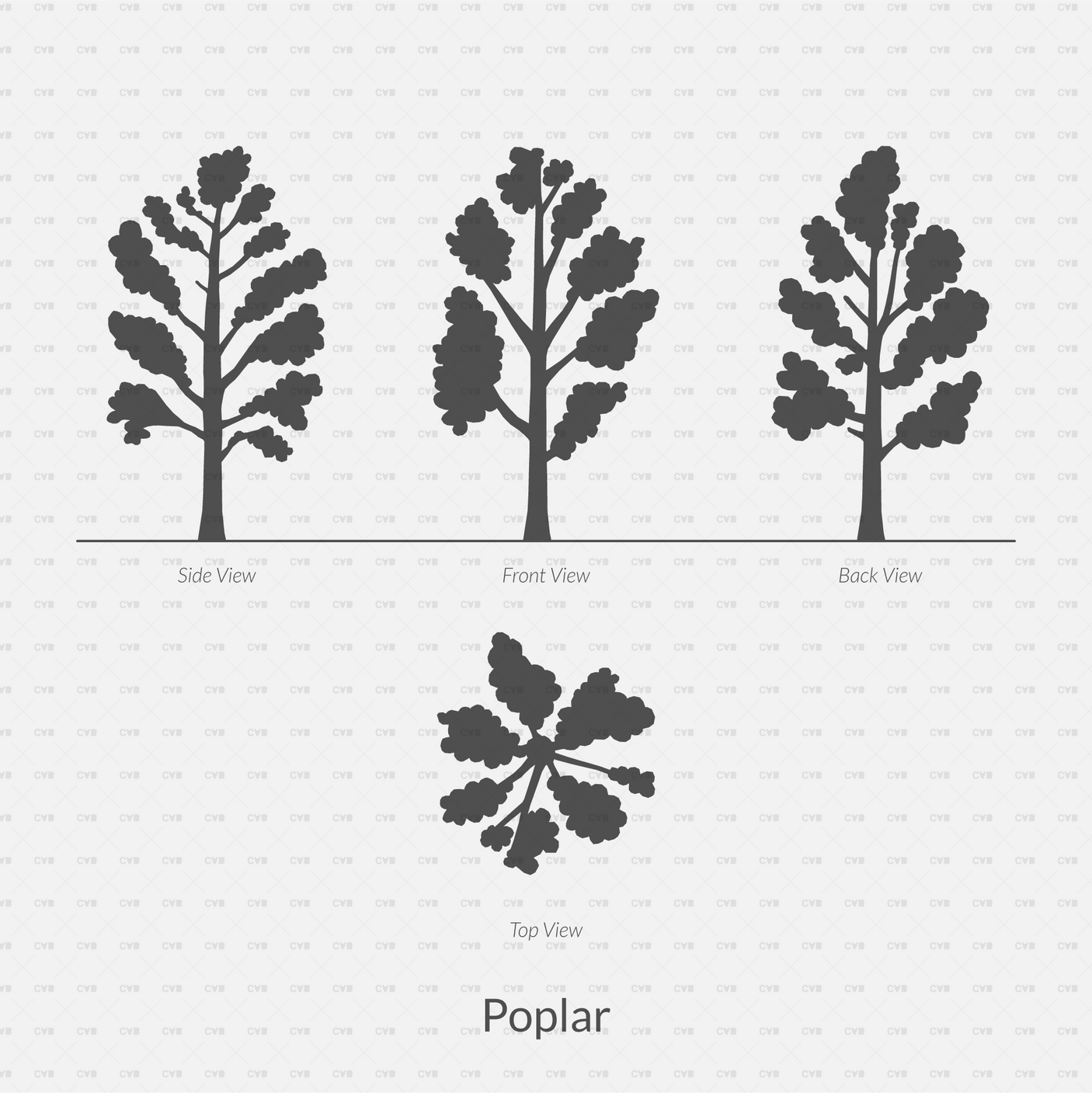 CAD Dynamic Blocks and Vector Common Trees Silhouettes download dwg ai svg elevation top view side front back poplar 