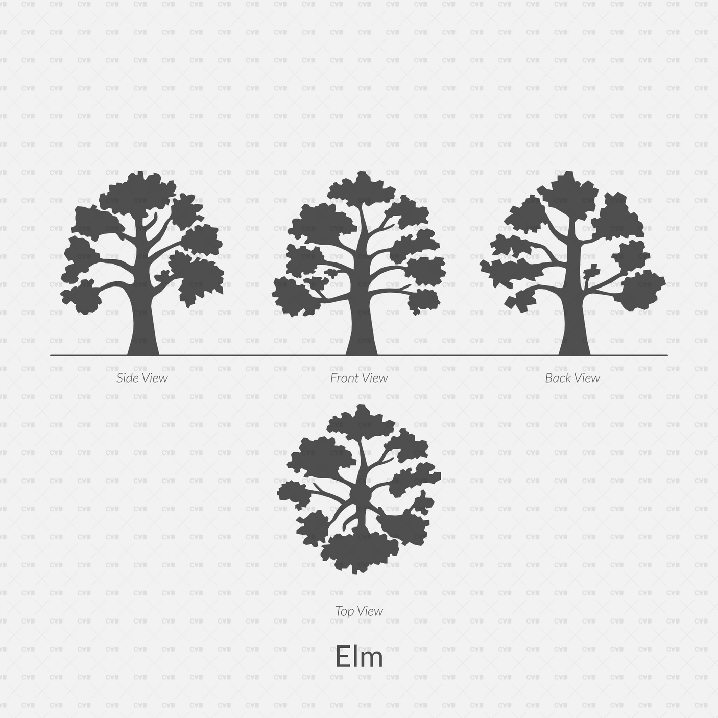 CAD Dynamic Blocks and Vector Common Trees Silhouettes download dwg ai svg elevation top view side front back elm