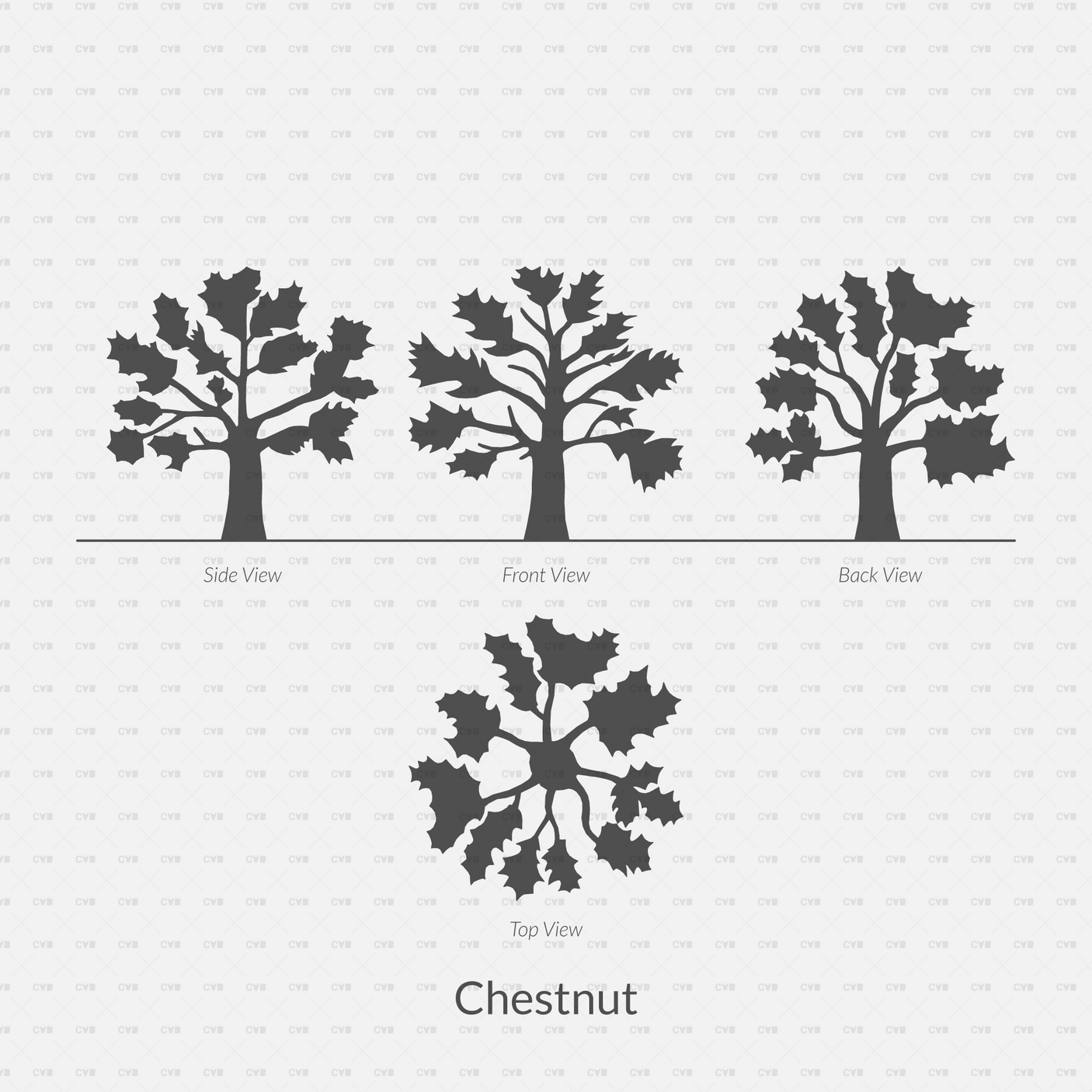 CAD Dynamic Blocks and Vector Common Trees Silhouettes download dwg ai svg elevation top view side front back chestnut