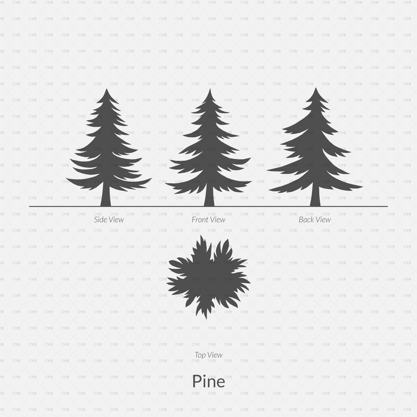 CAD Dynamic Blocks and Vector Common Trees Silhouettes download dwg ai svg elevation top view side front back pine