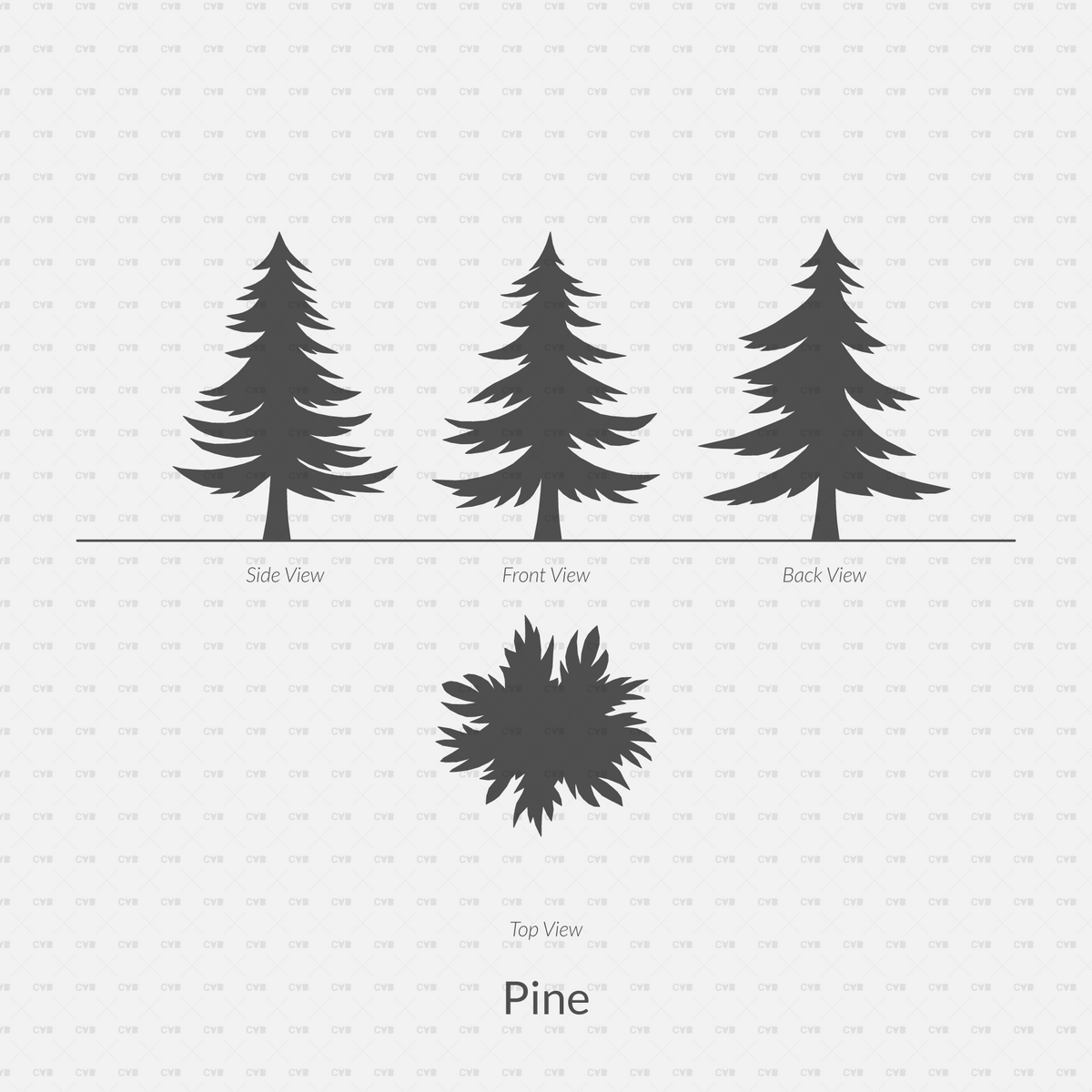 Download DYNAMIC CAD Trees BLOCKS Silhouettes | CADasBuilt – cadasbuilt