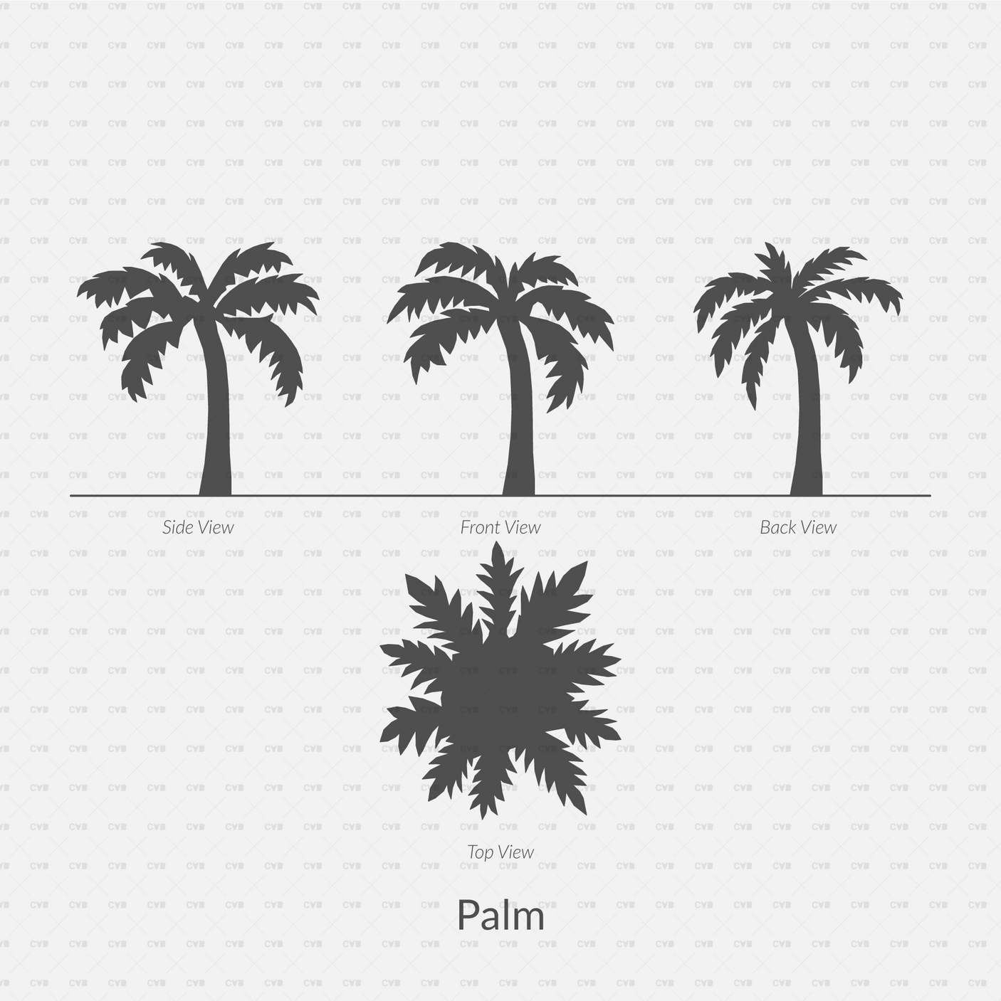 CAD Dynamic Blocks and Vector Common Trees Silhouettes download dwg ai svg elevation top view side front back palm