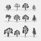 CAD Dynamic Blocks and Vector Common Trees Silhouettes download dwg ai svg elevation