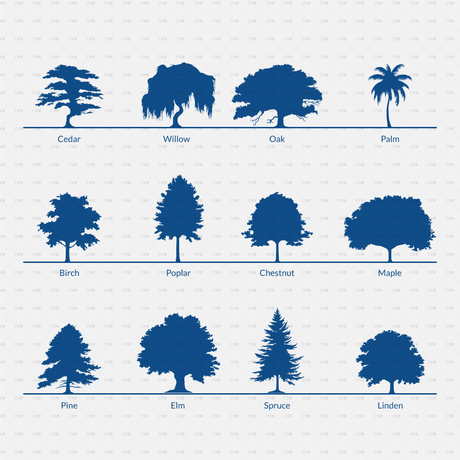 CAD Dynamic Blocks and Vector Common Trees Silhouettes download 