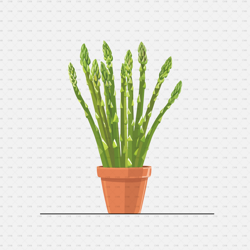 Vector Potted Plants 01