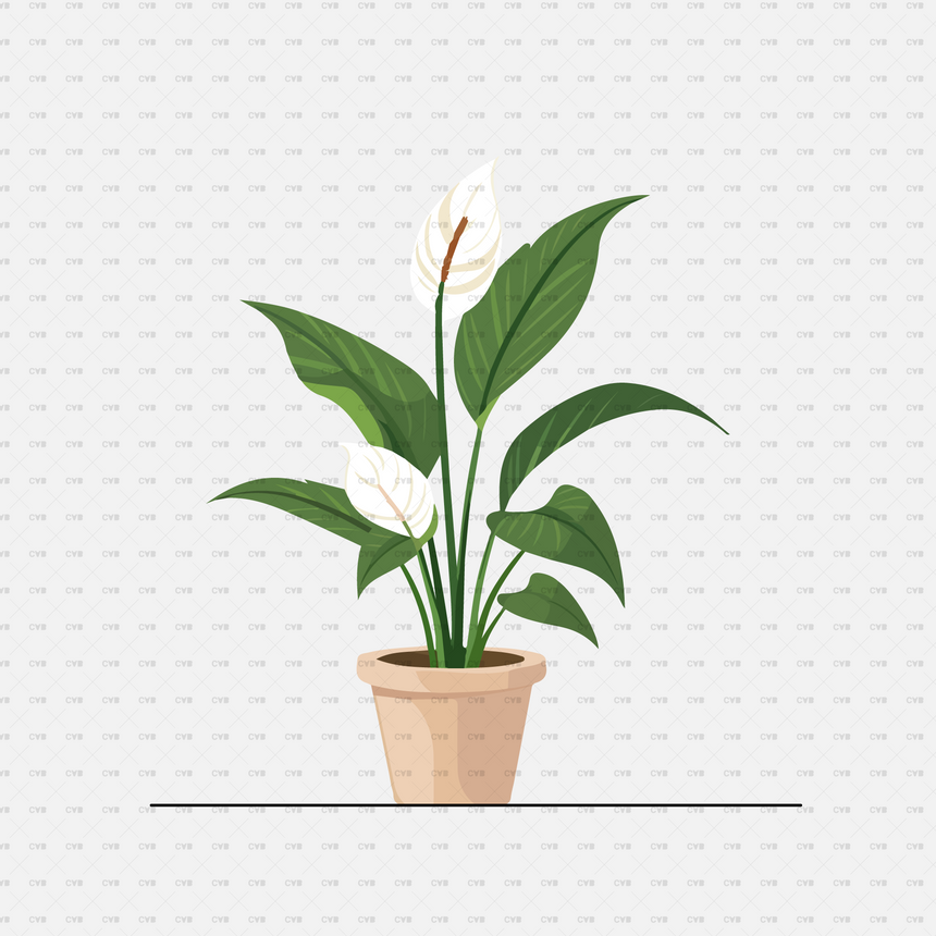 Vector Potted Plants 01