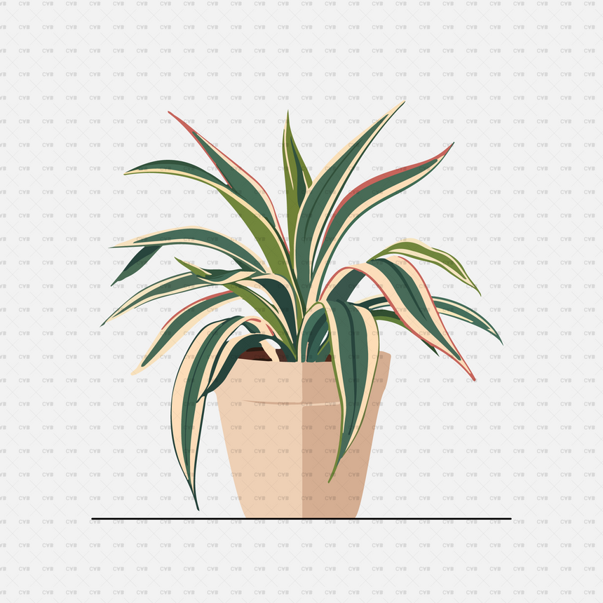 Vector Potted Plants 01