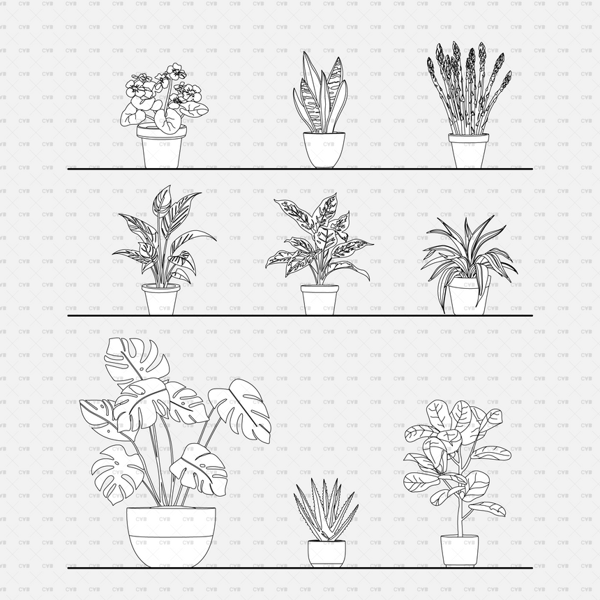 Vector Potted Plants 01