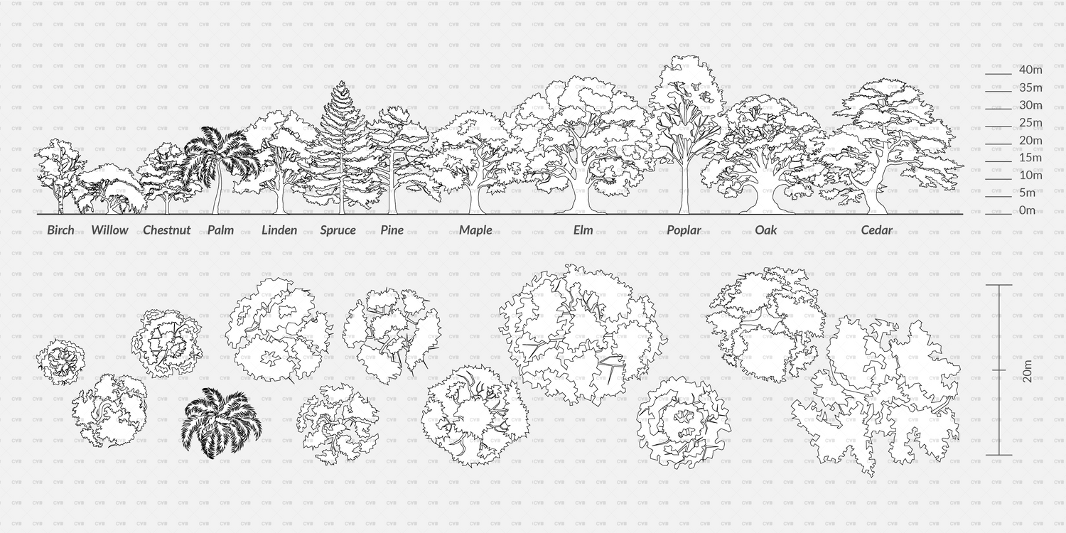 Download DYNAMIC CAD Trees BLOCKS | CADasBuilt – cadasbuilt