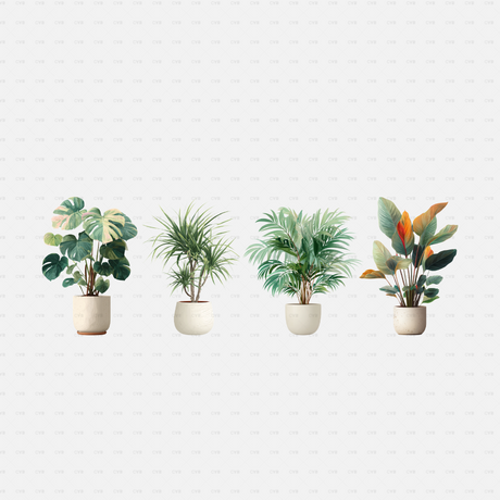 PNG Cutouts - potted plants cadasbuilt AI SVG dwg four tall potted plants, monstera, dracaena, palm and bird of paradise
